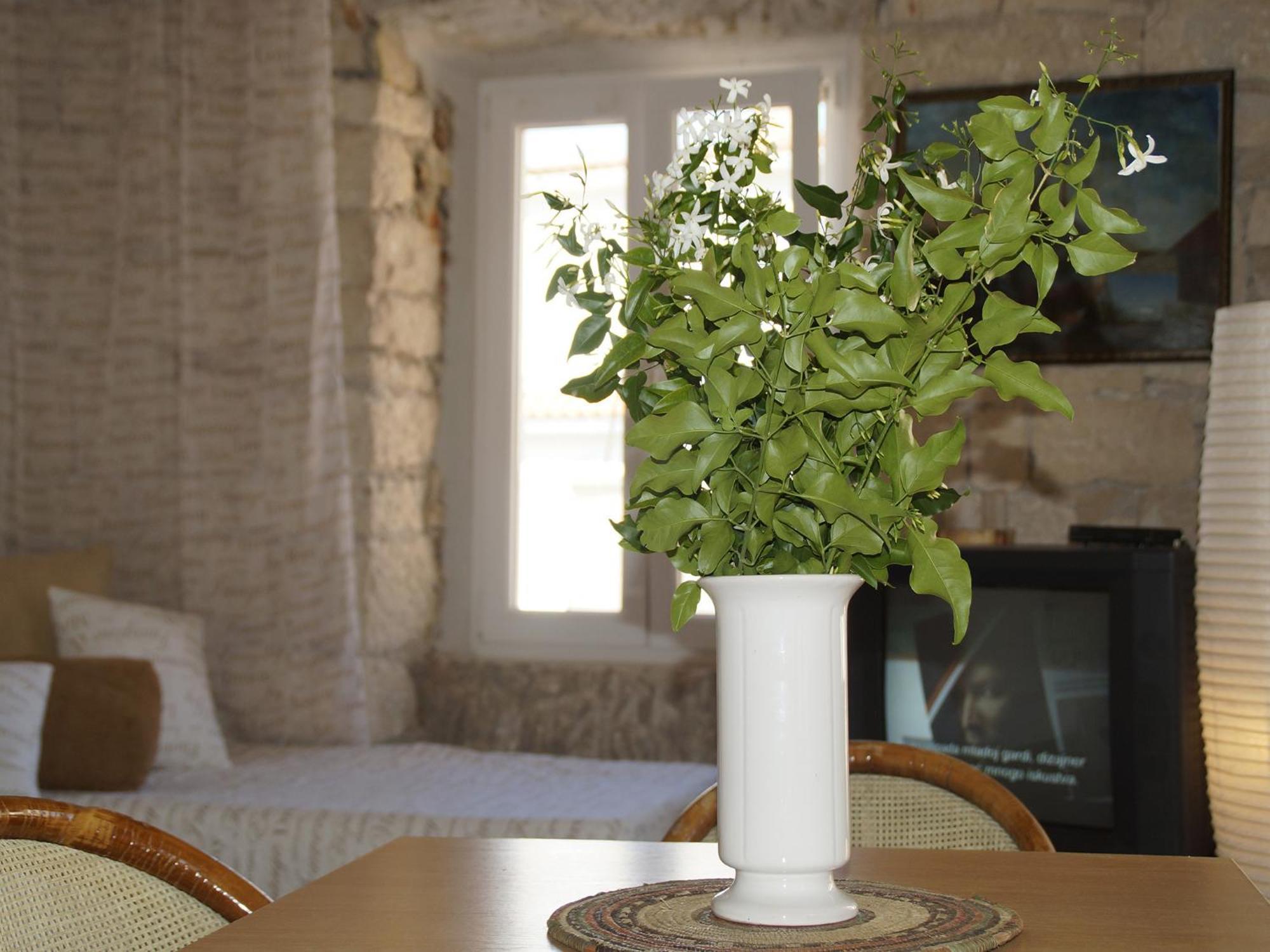 Apartments Stelina Korčula Zimmer foto